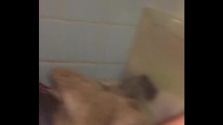 gaping asshole begging for a big hard cock